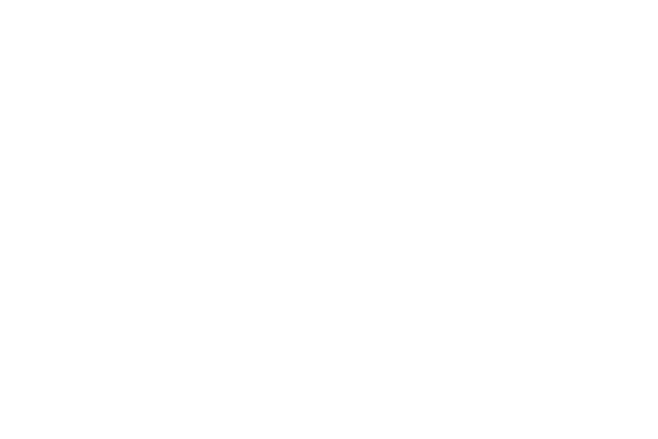 WILD 95.3